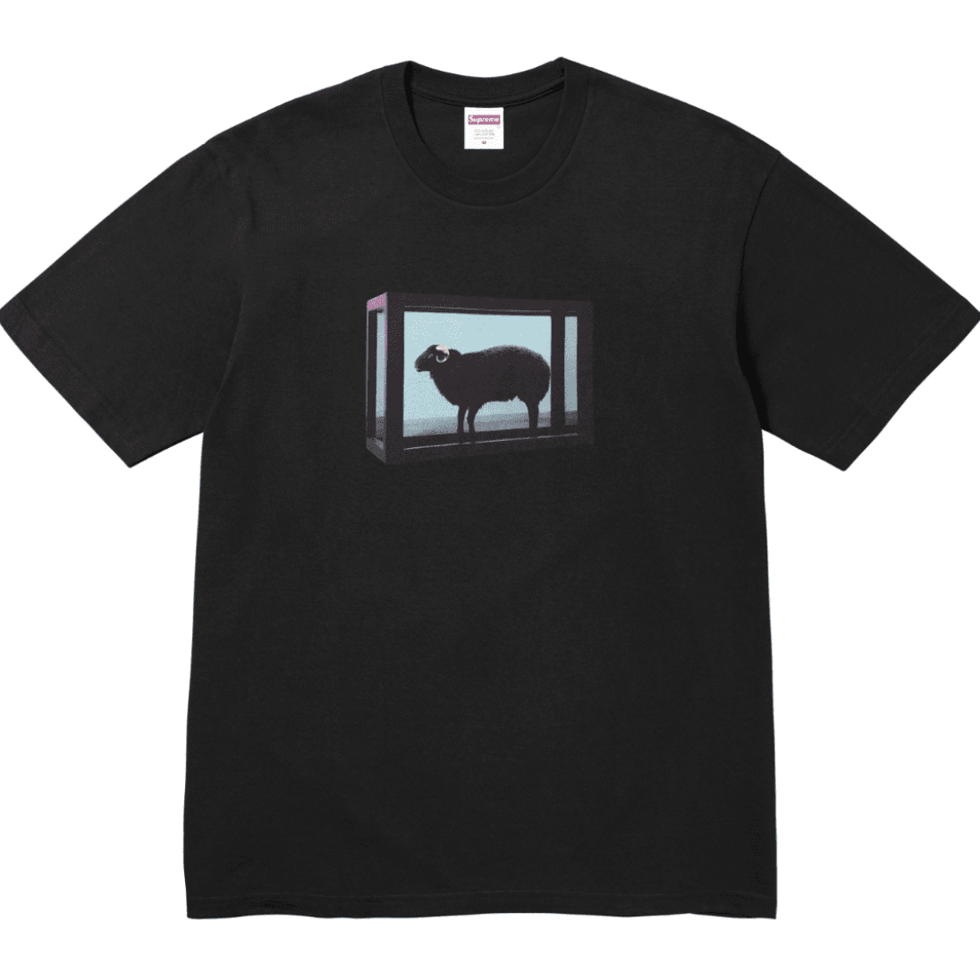 Supreme 008